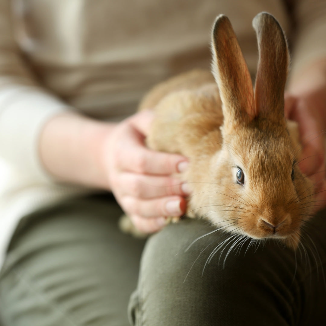 Crafting a Custom Travel Mug: Infusing Love, Laughter, and Bunny Whimsy