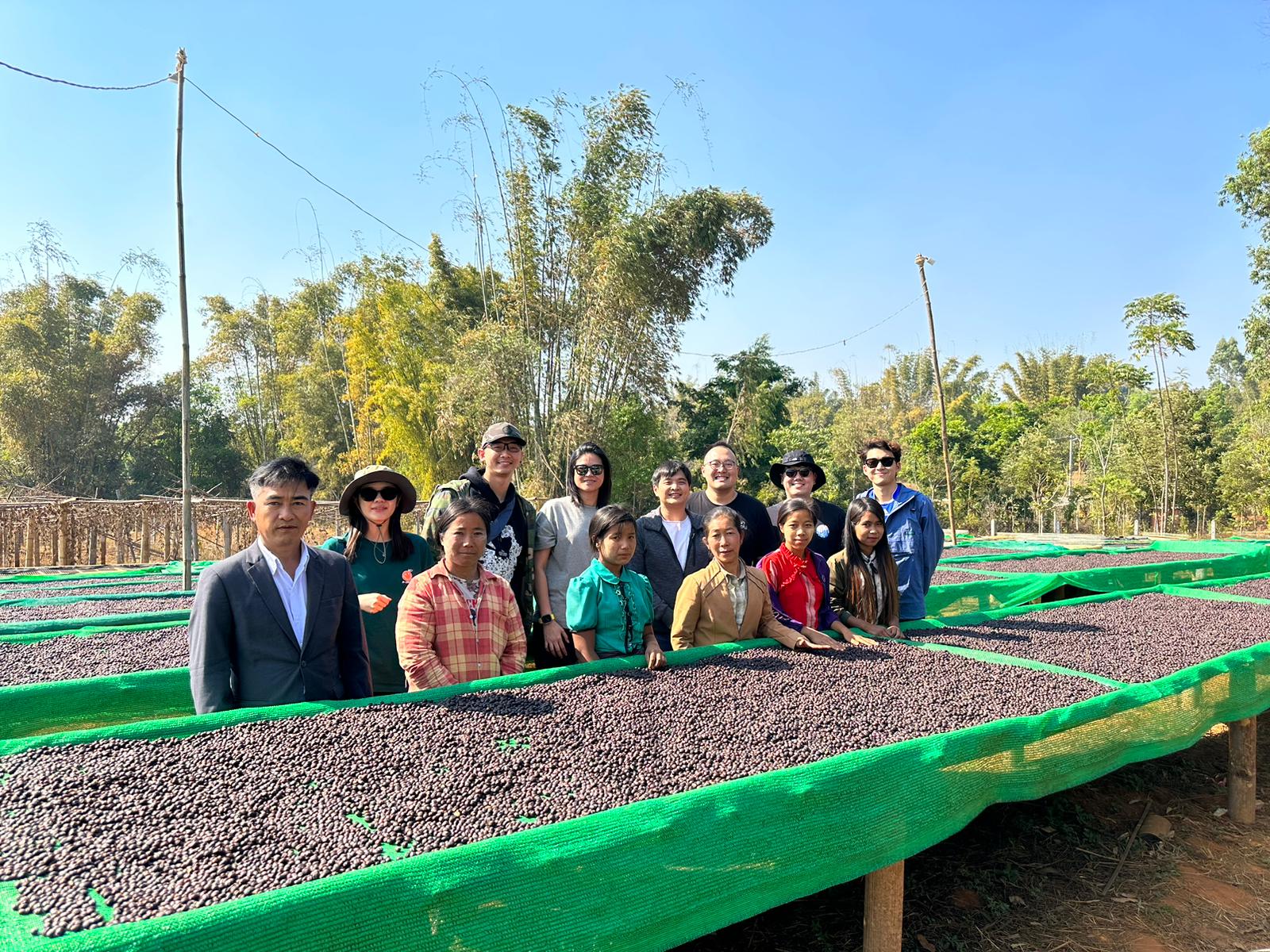 Rogue Wave Coffee Roasters' Myanmar Myay Ni Kone Catuai Natural coffee with flavors of pear, blueberry, white grape, almond, and vanilla. Discover Shwe Taung Thu Coffee's support for smallholder farmers in Myanmar's Shan State.